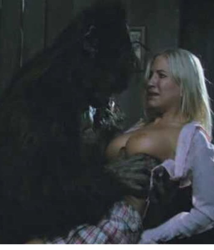 Big Bad Wolf DVD movie collectible [Barcode 025195007986] - Main Image 2