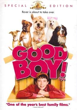 Good Boy