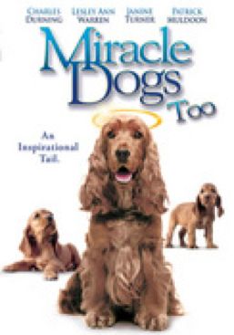 Miracle Dogs Too