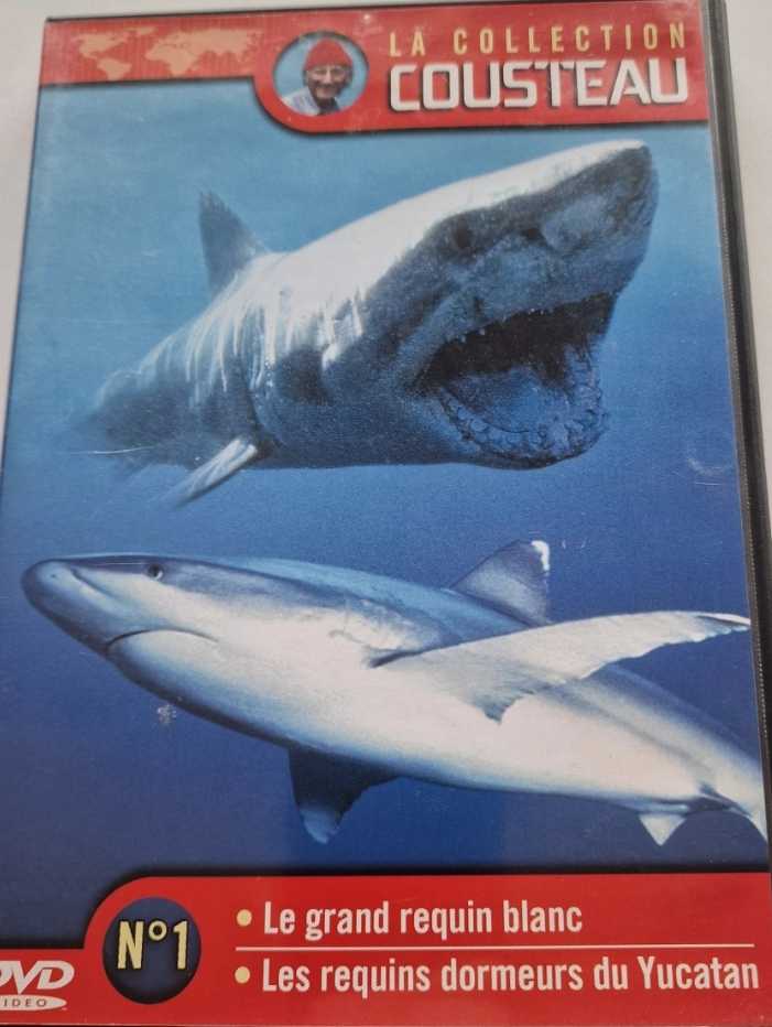 Le Grand Requin Blanc Cousteau 