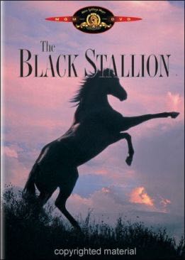 The Black Stallion