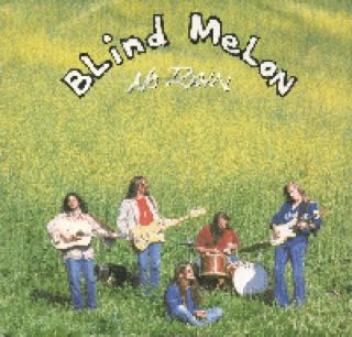 No Rain - Blind Melon (CD) music collectible [Barcode 724388102421] - Main Image 1