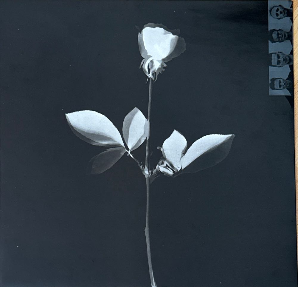 Violator - Depeche Mode (12”) music collectible [Barcode 4006751468591] - Main Image 3