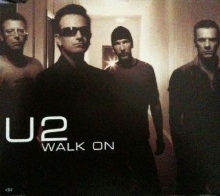 The Girl In The Other Room