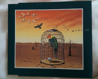 In The Name Of The Father