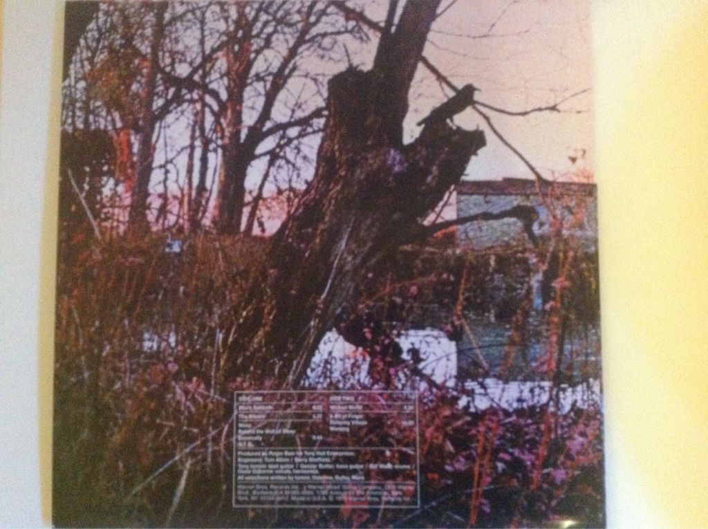 Black Sabbath - Black Sabbath (12” - 38:12) music collectible [Barcode 081227981662] - Main Image 2