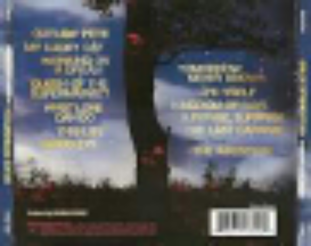 Working On A Dream - Bruce Springsteen (CD - 51) music collectible - Main Image 2