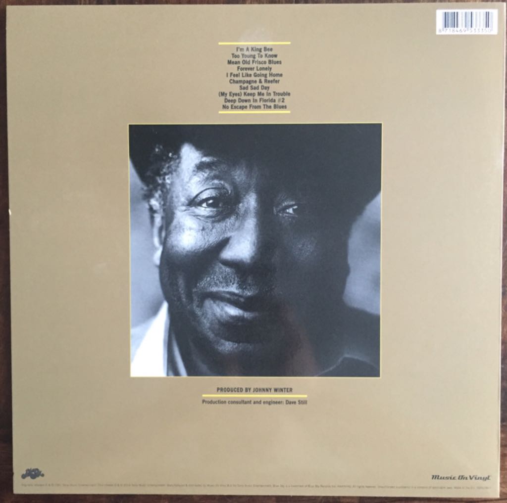 King Bee - Muddy Waters (12” - 40) music collectible [Barcode 8718469533350] - Main Image 2