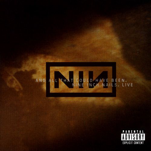 And All That Could Have Been - Nine Inch Nails (12”) music collectible - Main Image 1