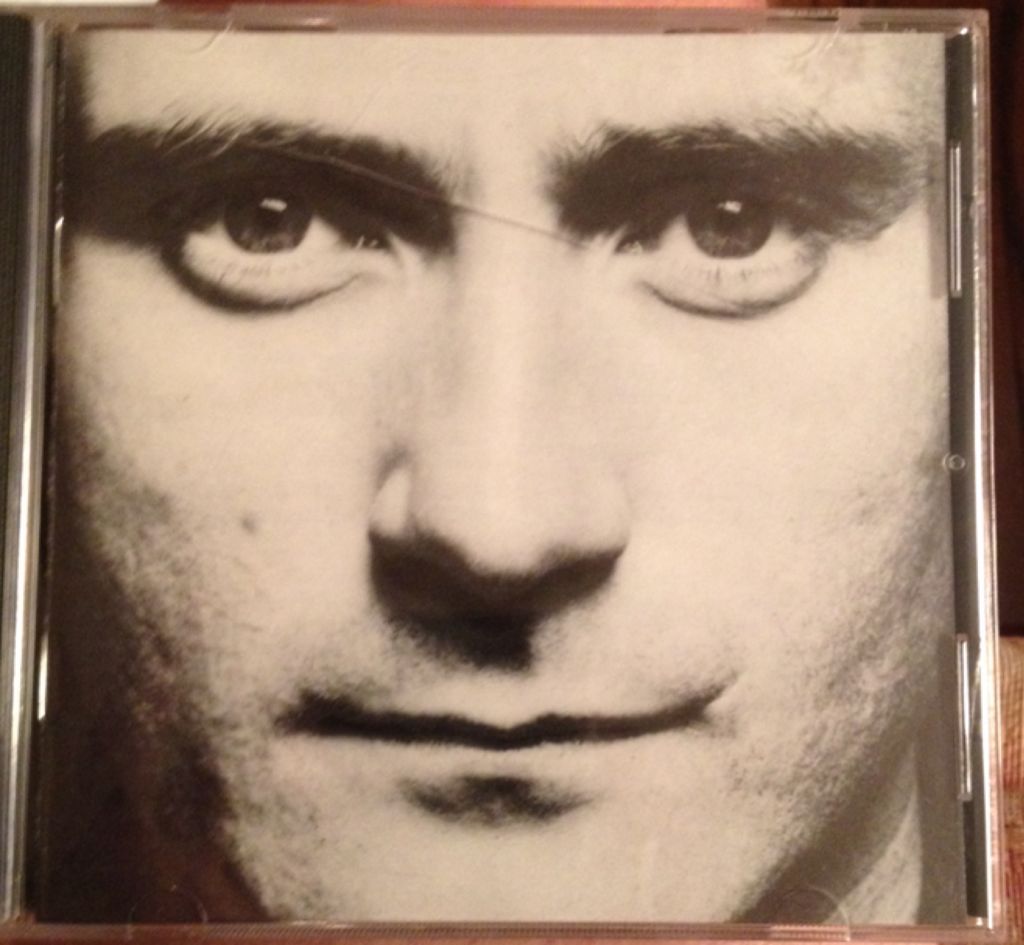 Chaos And Creation In The Backyard