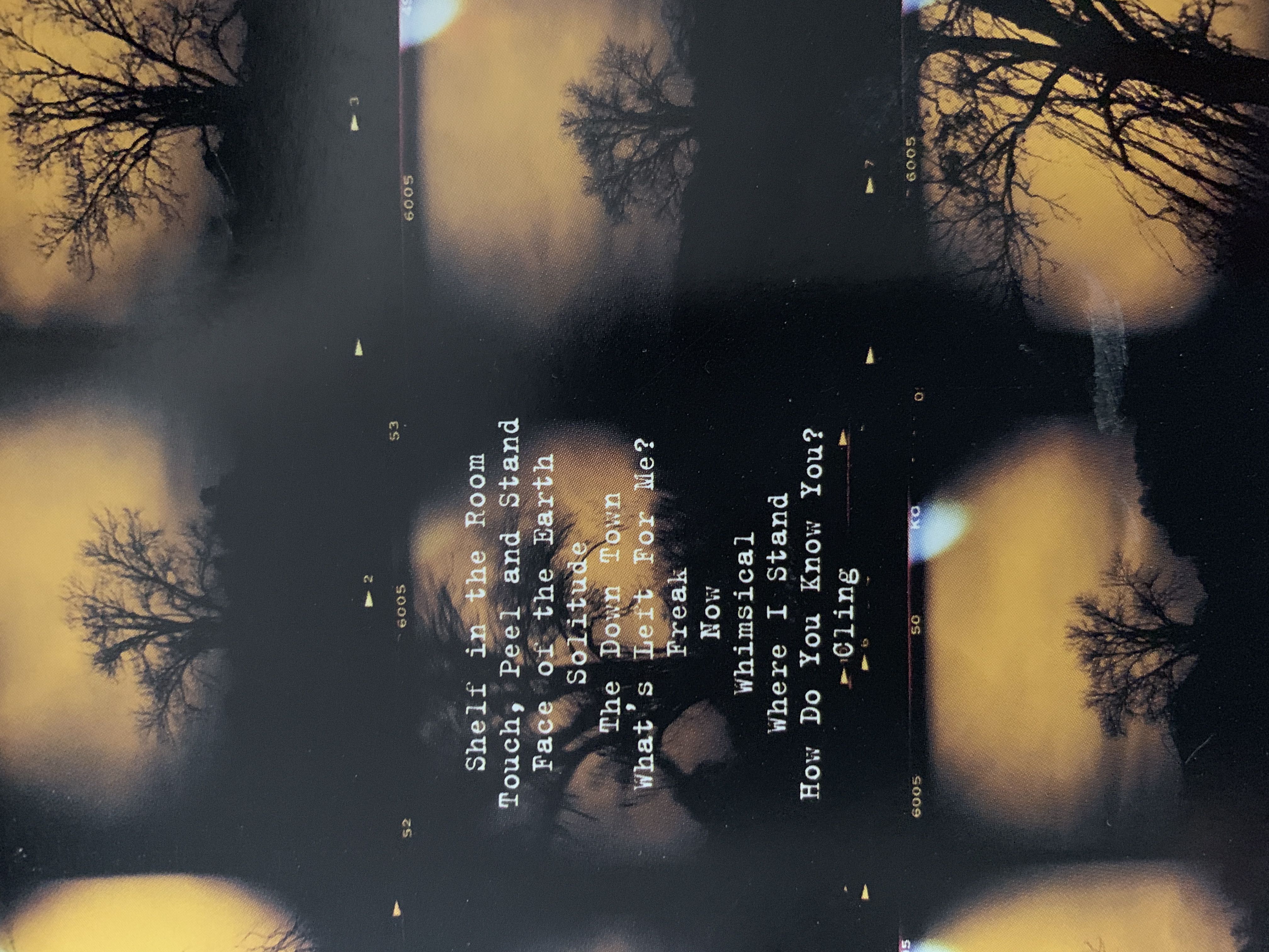 Days of the New - Days Of The New (CD - 72) music collectible [Barcode 020831228527] - Main Image 4