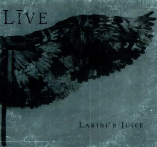 Sweetheart Of The Rodeo