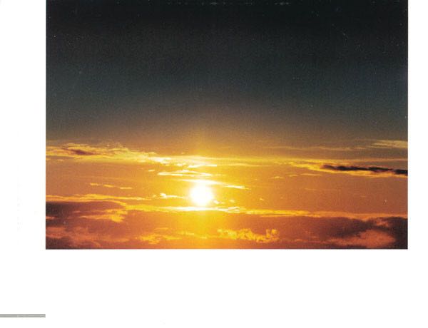 Gran Turismo - Cardigans, The (CD - 4236) music collectible [Barcode 731455908121] - Main Image 3