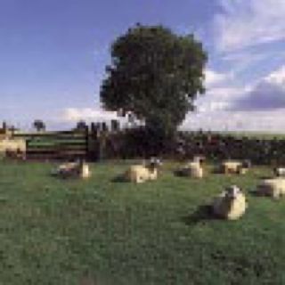 Chill Out - KLF, The (CD - 60) music collectible [Barcode 016581715523] - Main Image 1
