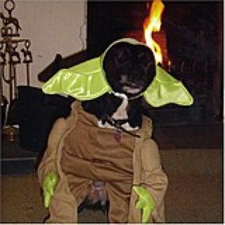Image 1218095