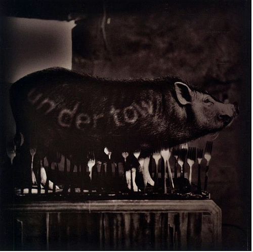 Undertow - Tool (12” - 69) music collectible [Barcode 614223105222] - Main Image 2