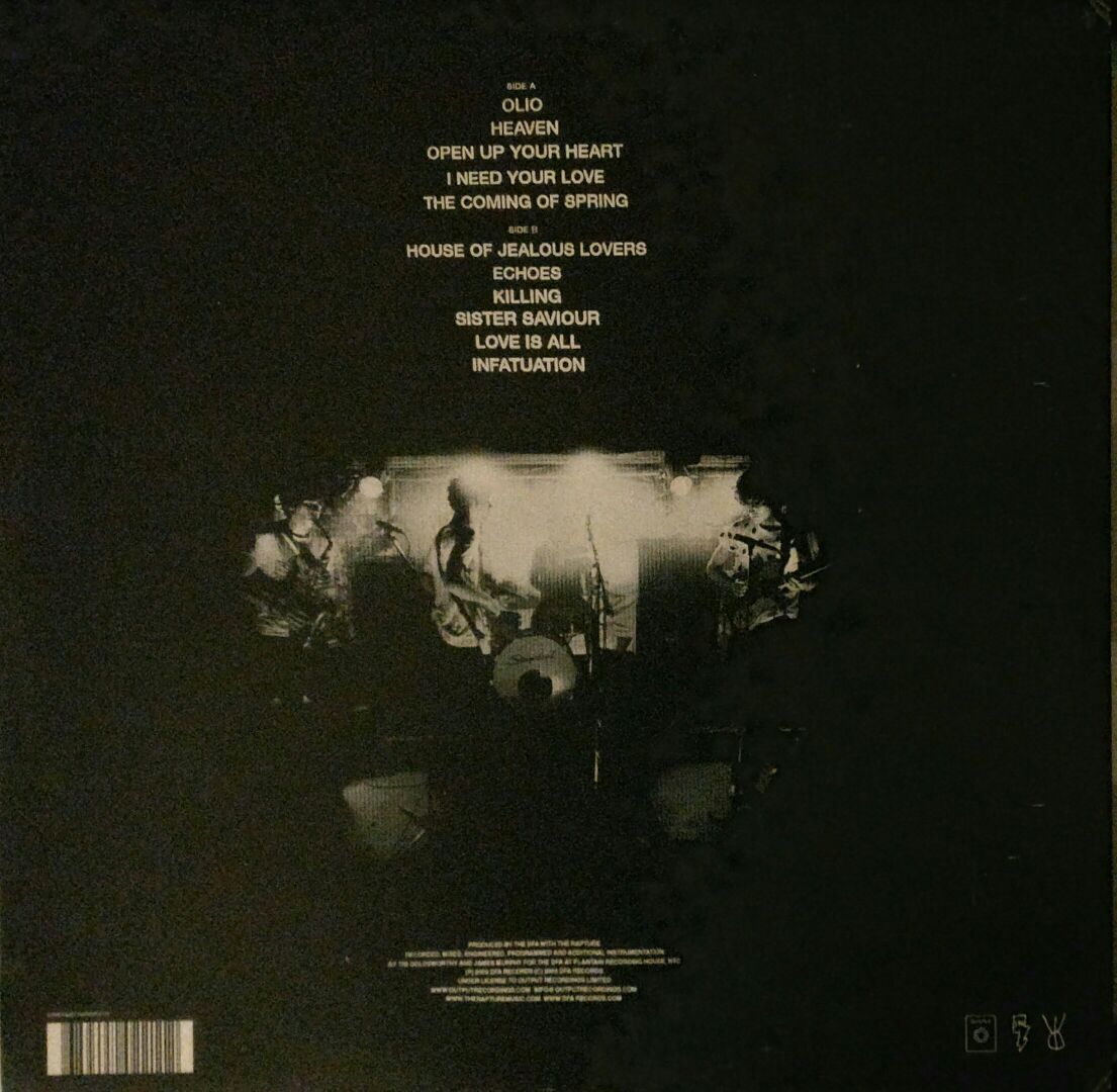 Echoes - Rapture, The (12”) music collectible [Barcode 689492022112] - Main Image 2