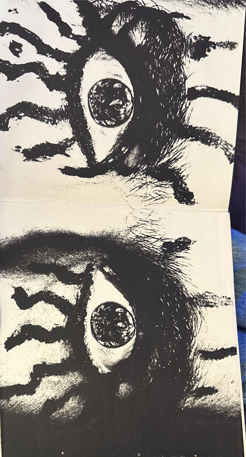 Love It To Death - Alice Cooper (12” - 3721) music collectible [Barcode 074292718721] - Main Image 3