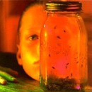 Jar of Flies - Alice In Chains (CD - 3049) music collectible [Barcode 074646689301] - Main Image 1