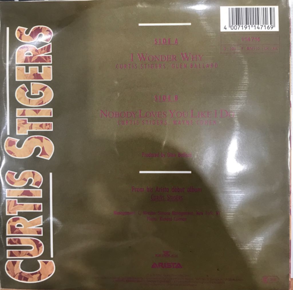 I Wonder Why - Curtis Stigers (CD) music collectible [Barcode 4007196647169] - Main Image 2