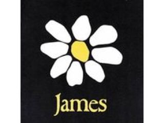 Get The Party Started