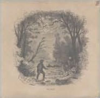 AC/DC (05) - Powerage