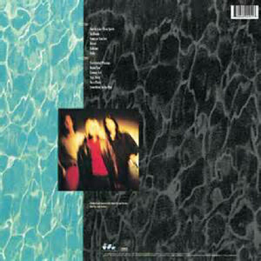Nevermind - Nirvana (12”) music collectible - Main Image 2