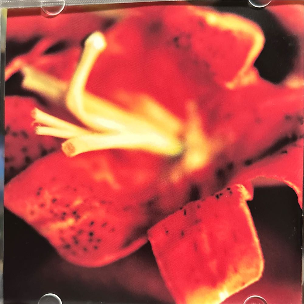 Eden - Brightman, Sarah (CD - 59) music collectible [Barcode 724355676924] - Main Image 4