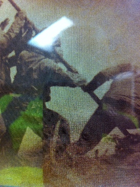 Songs For You Truths For Me