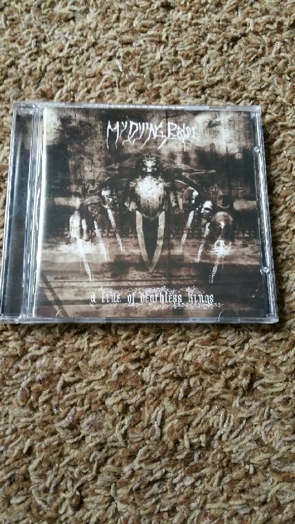 Slow Motion Daydream