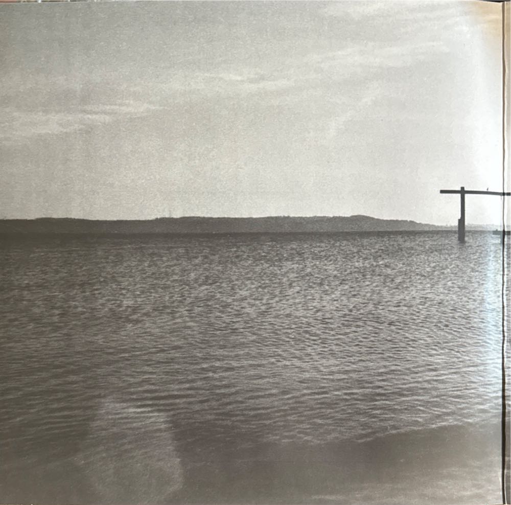 Yield - Pearl Jam (12” - 49) music collectible - Main Image 3
