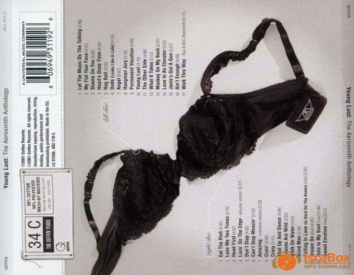 Young Lust: The Aerosmith Anthology - Aerosmith (MP3 - 159) music collectible - Main Image 2