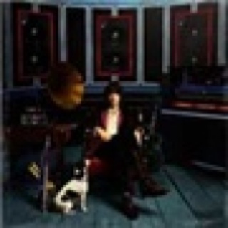 Phrazes For The Young - Casablancas, Julian (CD) music collectible [Barcode 883870052528] - Main Image 1