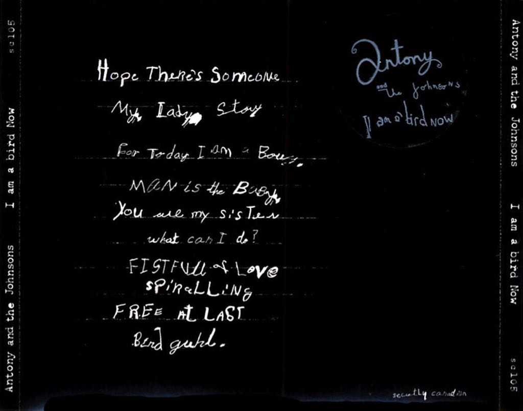 I Am A Bird Now - Antony And The Johnsons (12”) music collectible - Main Image 2