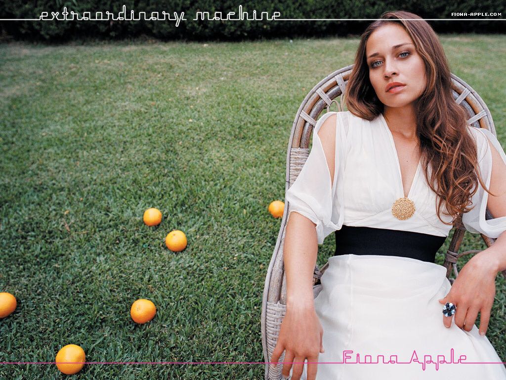 Extraordinary Machine - Apple, Fiona (12” - 50) music collectible [Barcode 8803581110975] - Main Image 2