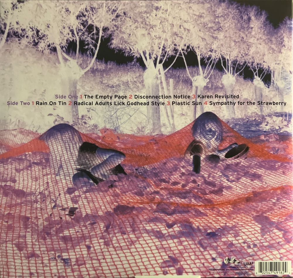 Murray Street - Sonic Youth (12” - 45) music collectible [Barcode 602547491824] - Main Image 2