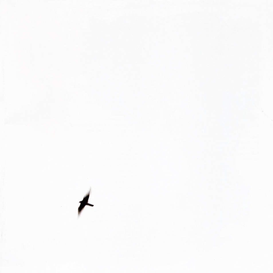 Image 1231700