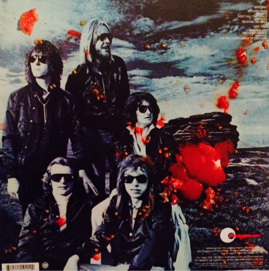 Tormato - Yes (12”) music collectible - Main Image 2