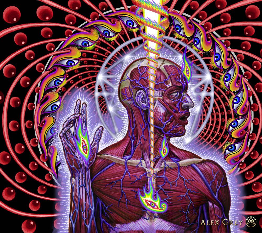 Lateralus - Tool (CD - 79) music collectible [Barcode 724381046524] - Main Image 2