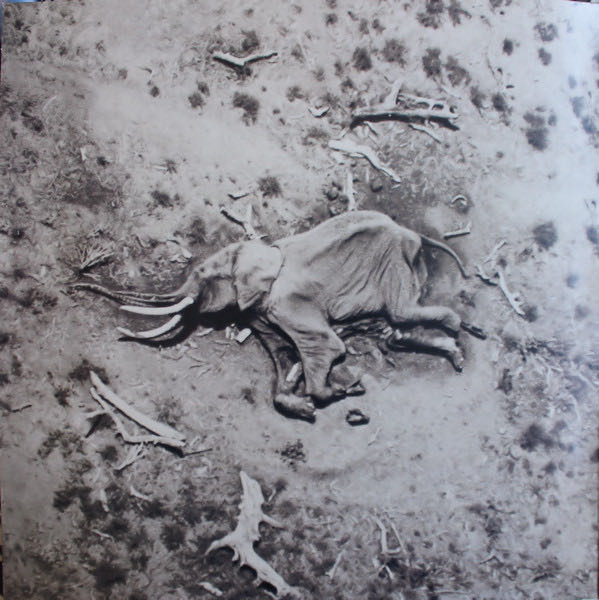 The Will To Live - Ben Harper (12” - 53) music collectible [Barcode 724384417819] - Main Image 3