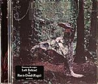 Temple Of The Dog (25th Anniversary)