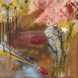 Animals In Bloom - Big Light (CD) music collectible [Barcode 844185045100] - Main Image 1