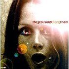 Cruelty Without Beauty