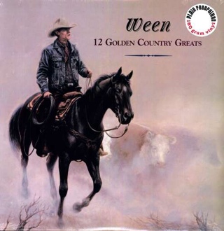 Comfort In Sound: Special CD and DVD Edition