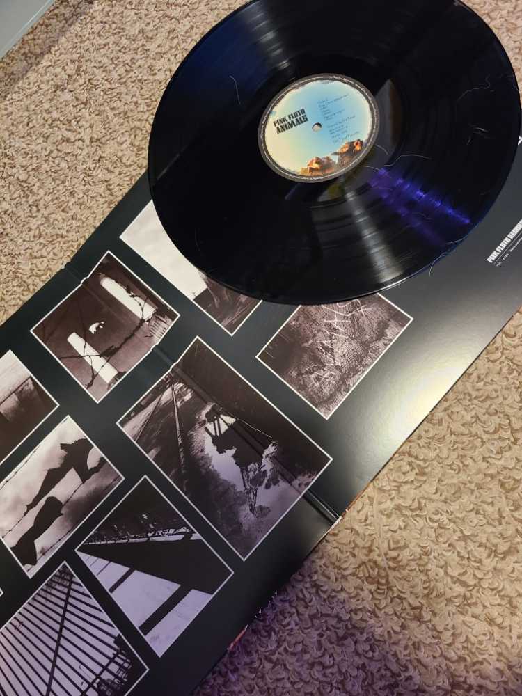 Animals - Pink Floyd (12” - 42) music collectible [Barcode 888751842717] - Main Image 4