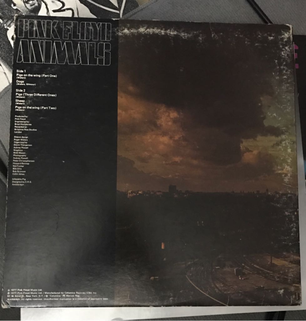 Animals - Pink Floyd (12”) music collectible - Main Image 2