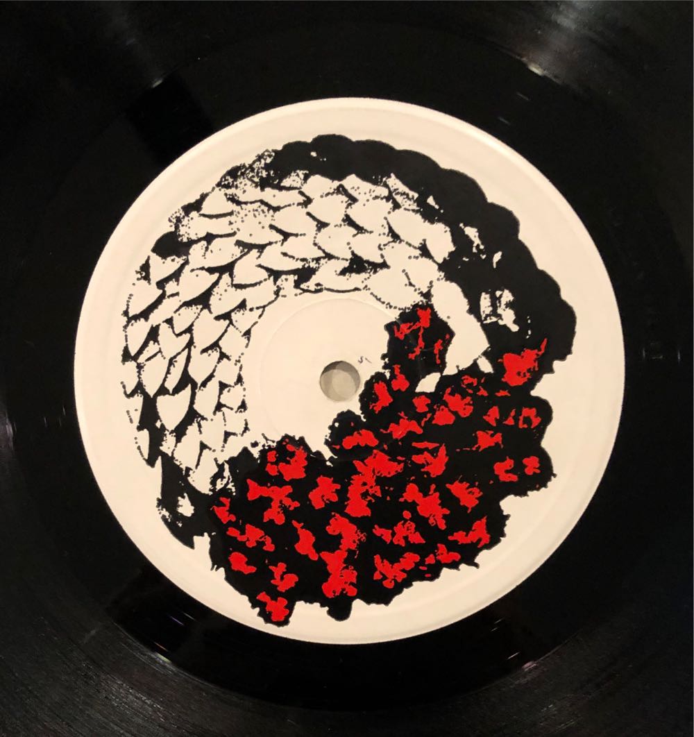 Join Hands - Siouxsie And The Banshees (12”) music collectible [Barcode 042283900424] - Main Image 4