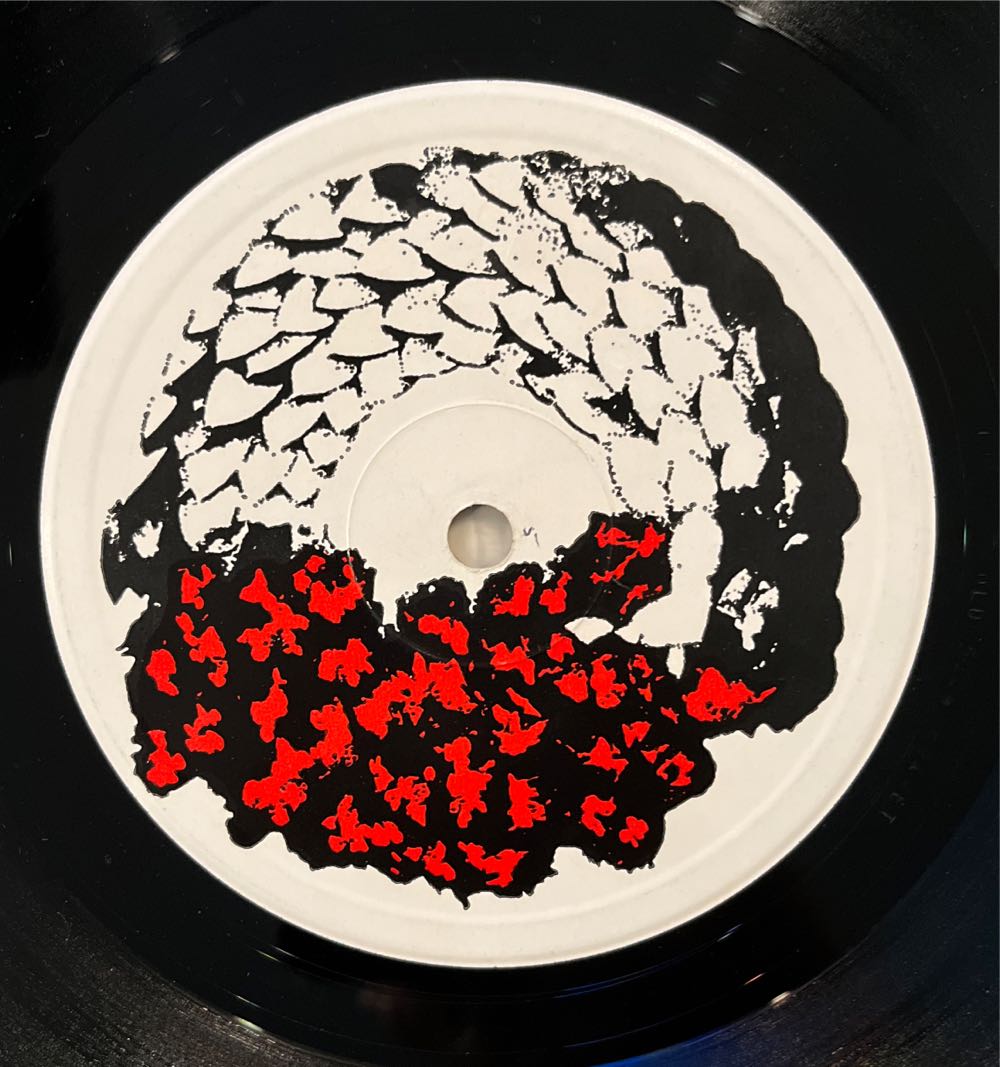 Join Hands - Siouxsie And The Banshees (12”) music collectible [Barcode 720642404720] - Main Image 4