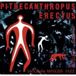 Little Black Numbers