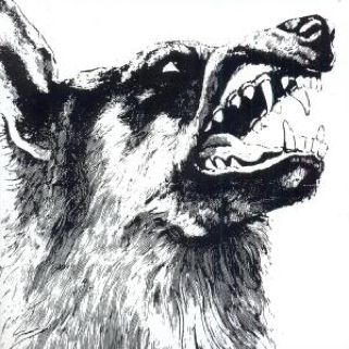 Turntable Sound Music